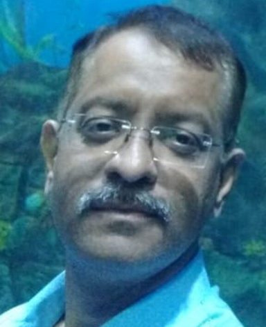 Image of Author P HIRSON