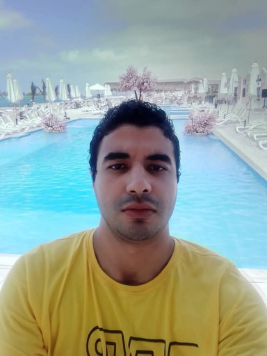 Image of Author Ehab Bayoumi