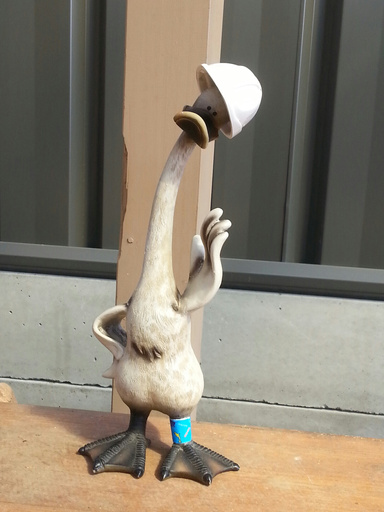 Image of Author AUSTRALIAN AUTHOR LYNNE McPHERSON!