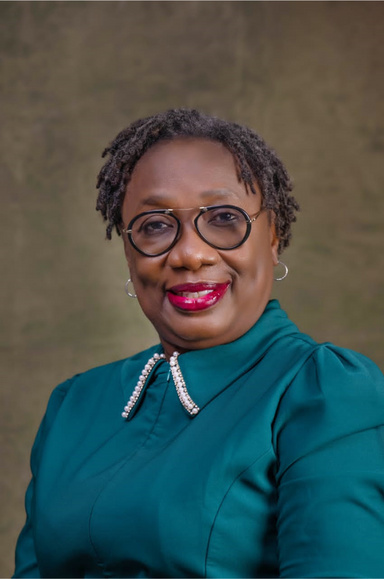 Image of Author The Visa Whisperer