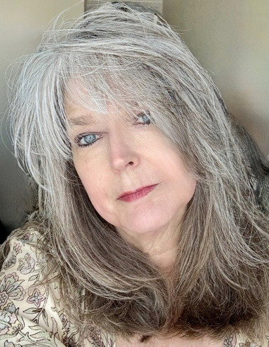 Image of Author Lisa Wheeler