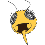 Image of Author Bee-ing Apis