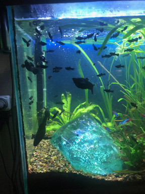 Image of Author Bill Chellberg