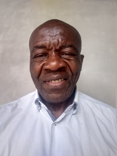 Image of Author Materne  Pendoué