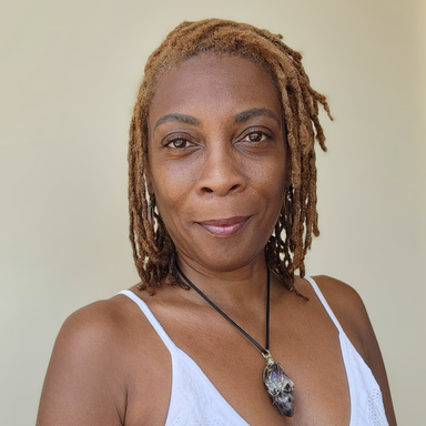 Image of Author The Elementa Way by GalandaB