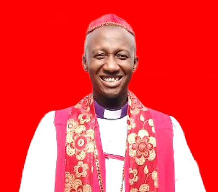 Image of Author Dr Obarinemi Paul-Obelley