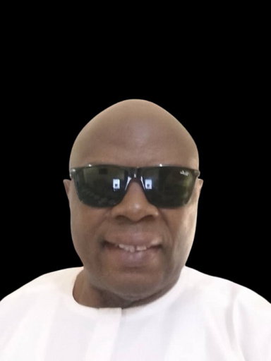 Image of Author Dr Basil Chudi Nwolisa