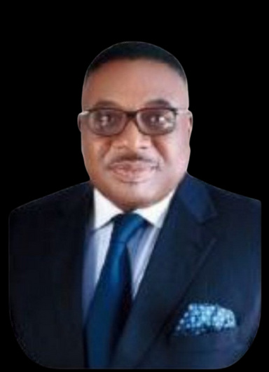 Image of Author Dr Dan Okehi