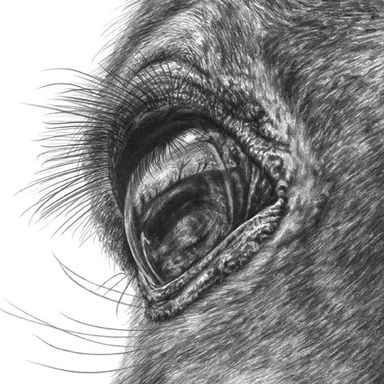 Image of Author Kelli Swan