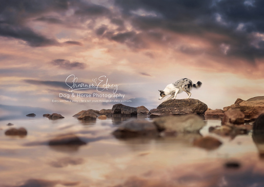 Image of Author Shannon Edney Photography