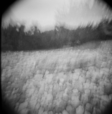 Image of Author Dominus Caseus