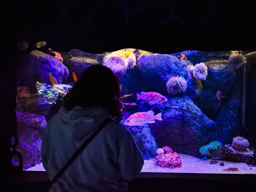 Image of Author Marguerite Margiotta