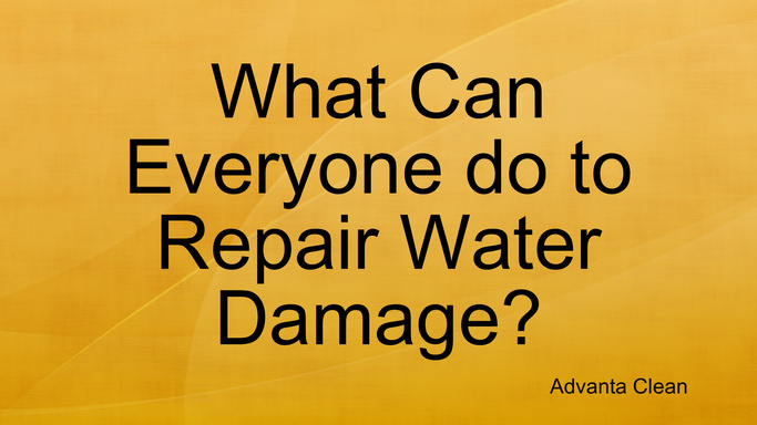 What Can Everyone do to Repair Water Damage?