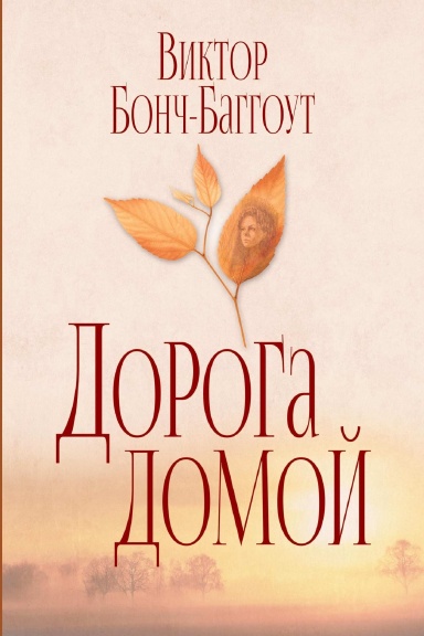 Дорога домой