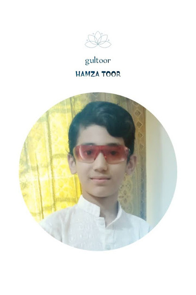 Image of Author Muhammad Hamza Toor