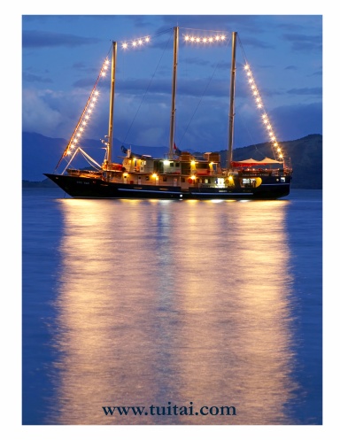 Tui Tai Brochure v3