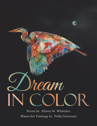 Dream In Color