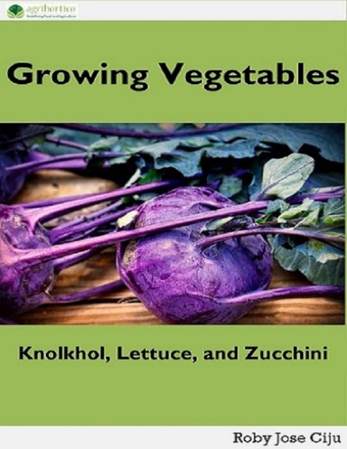 Growing Vegetables: Knolkhol, Lettuce and Zucchini