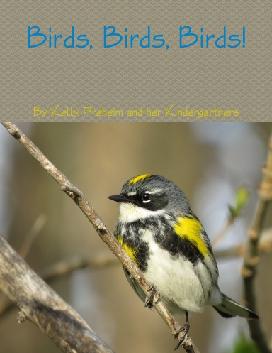 Birds, Birds, Birds!