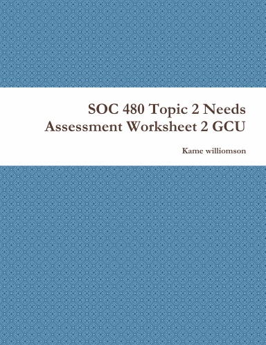 SOC 480 Topic 2 Needs Assessment Worksheet 2 GCU