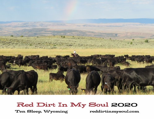 Red Dirt In My Soul 2020