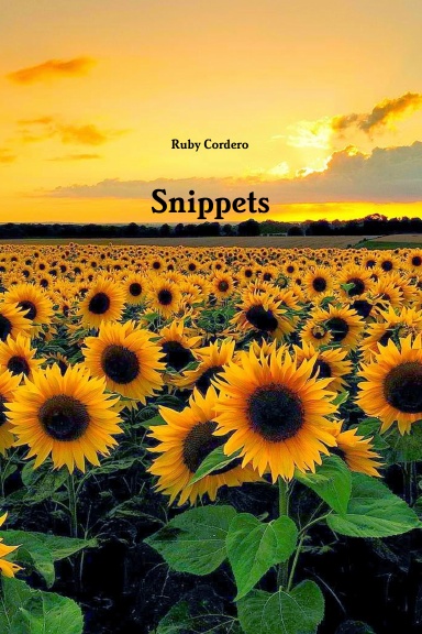 Snippets