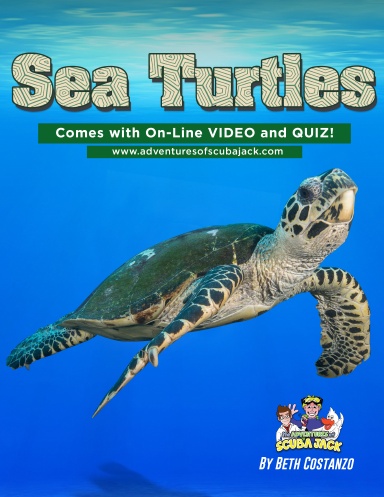 Sea Turtles