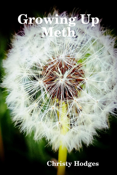 Growing Up Meth