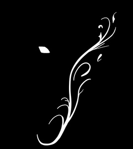 Image of Author Librairie Verusmor