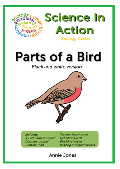 Science In Action - Zoology Series: Parts of a Bird (PDF Version - B&W)