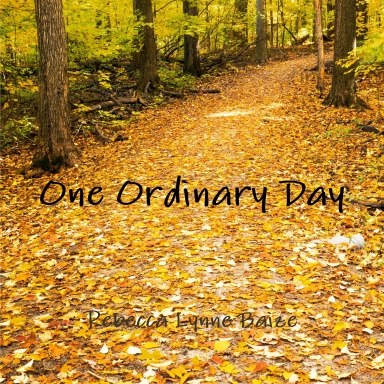 One Ordinary Day