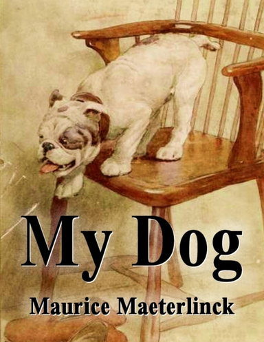 My Dog