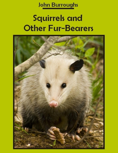 Squirrels and Other Fur-Bearers (Illustrated)