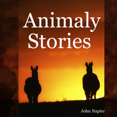 Animaly Stories