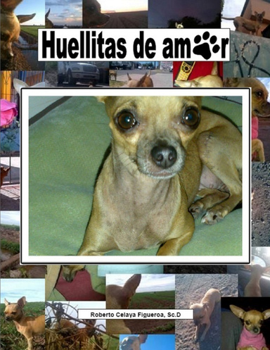 Huellitas de Amor