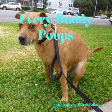 Every Buddy Poops
