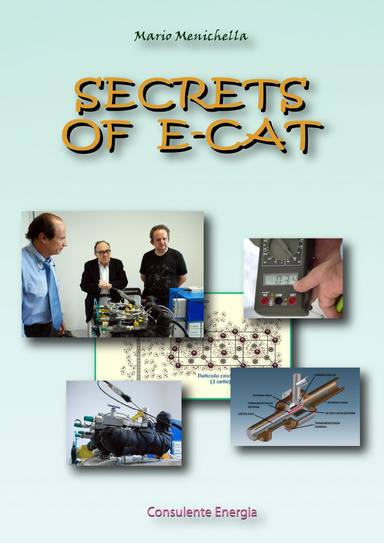 Secrets of E-Cat