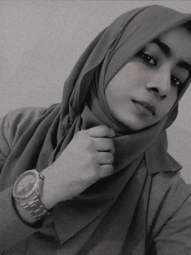Image of Author Alaa Lafir