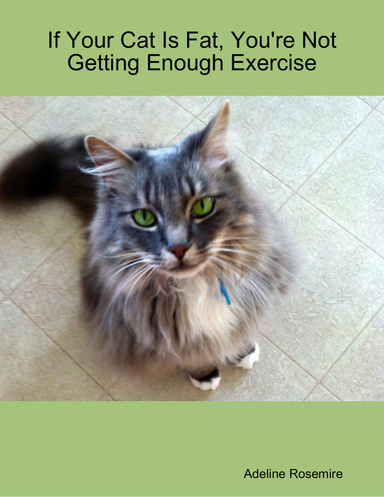 If Your Cat Is Fat, You're Not Getting Enough Exercise