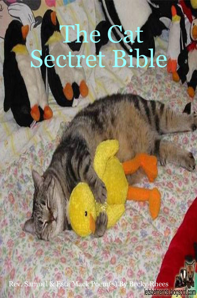 The Cat Sectret Bible