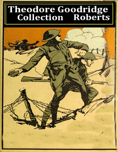 Theodore Goodridge Roberts, Collection