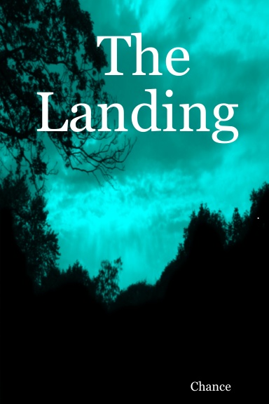 The Landing