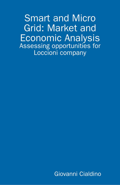 SMART AND MICRO GRID: MARKET AND ECONOMIC ANALYSIS. ASSESSING OPPORTUNITIES FOR LOCCIONI COMPANY