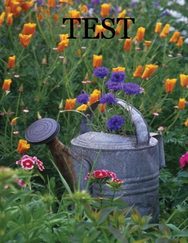 TEST