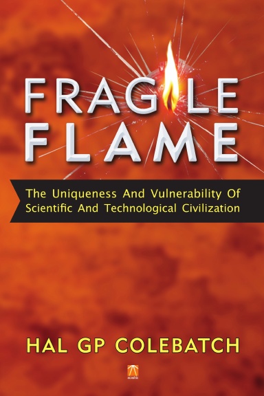 Fragile Flame