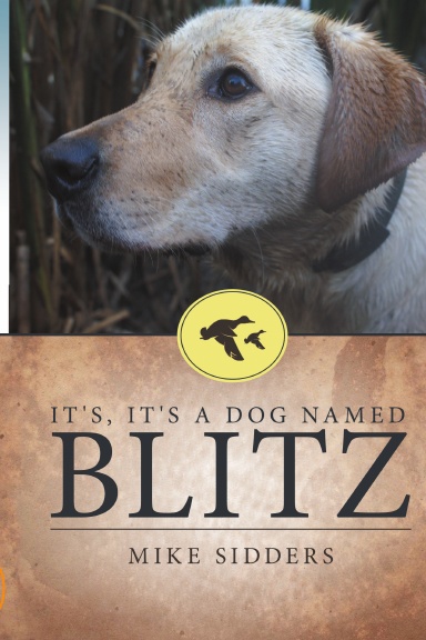 It's, It's A Dog Named Blitz
