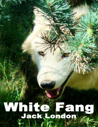 White Fang