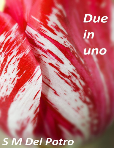 Due in Uno