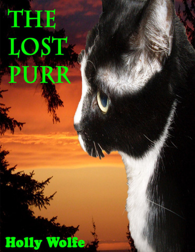 The Lost Purr