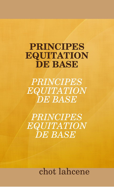 PRINCIPES EQUITATION DE BASE